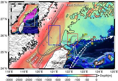 Kuroshio Intrusion and Its Impact on Swordtip Squid (Uroteuthis edulis) Abundance in the Southern East China Sea